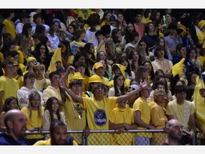 Alex’s Lemonade Stand Foundation: ‘Fighting Childhood Cancer, One Cup at a Time’