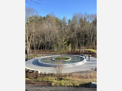 A Decade of Living with Loss