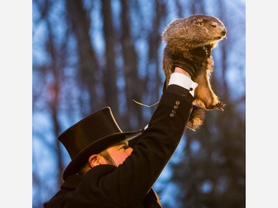 The History of Groundhog Day